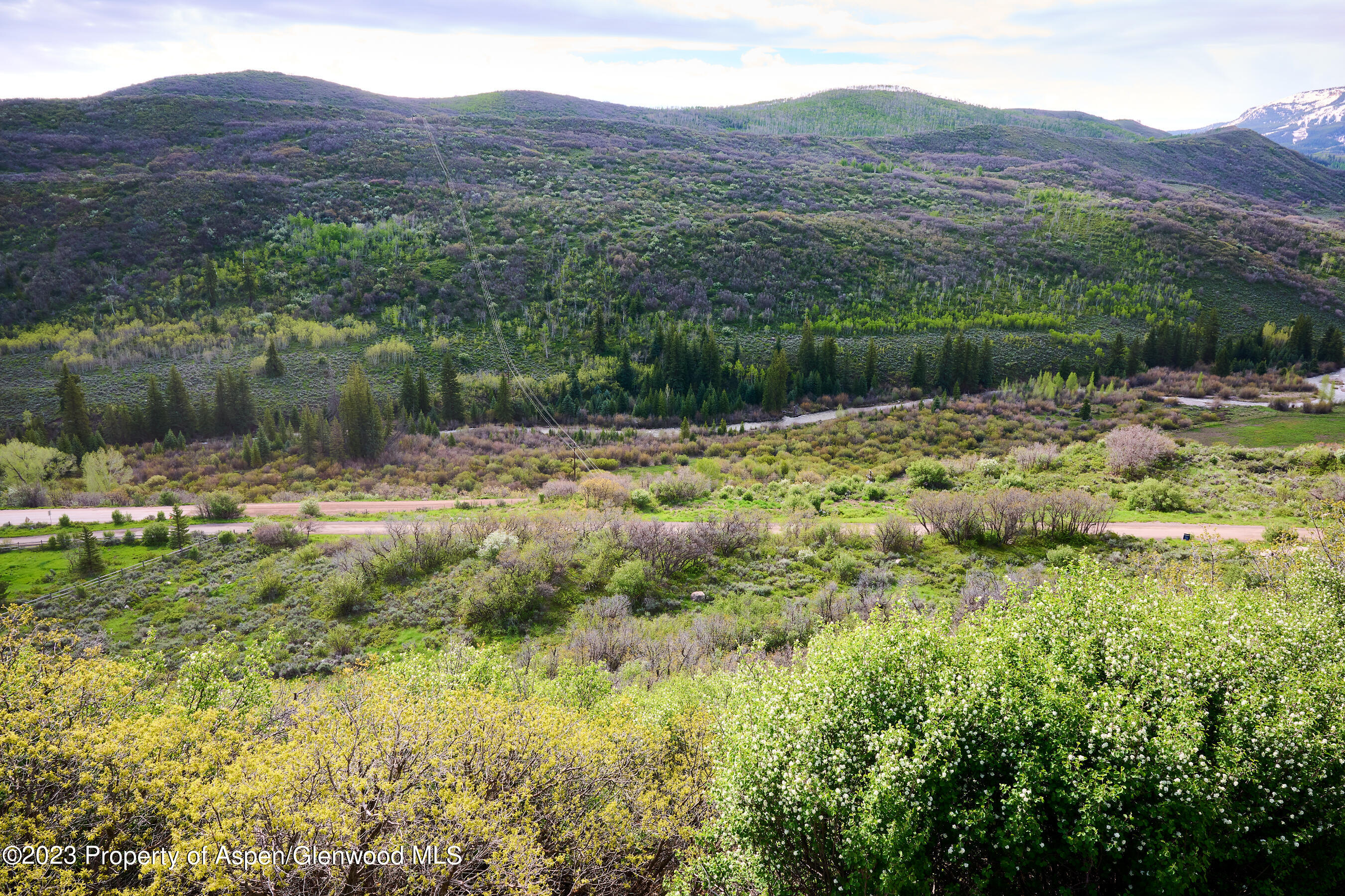 51 Shield O Road Snowmass CO 81654