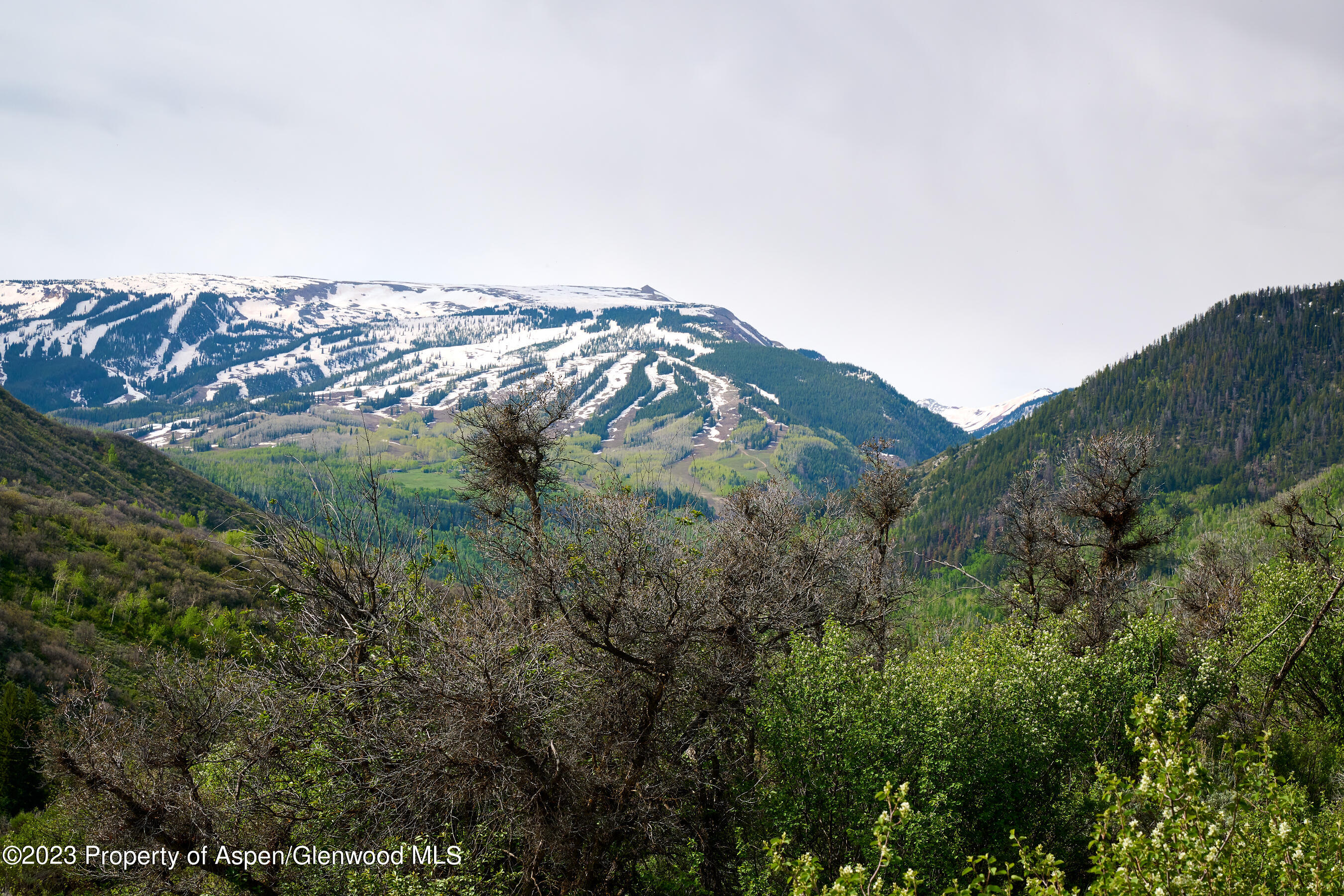 51 Shield O Road Snowmass CO 81654