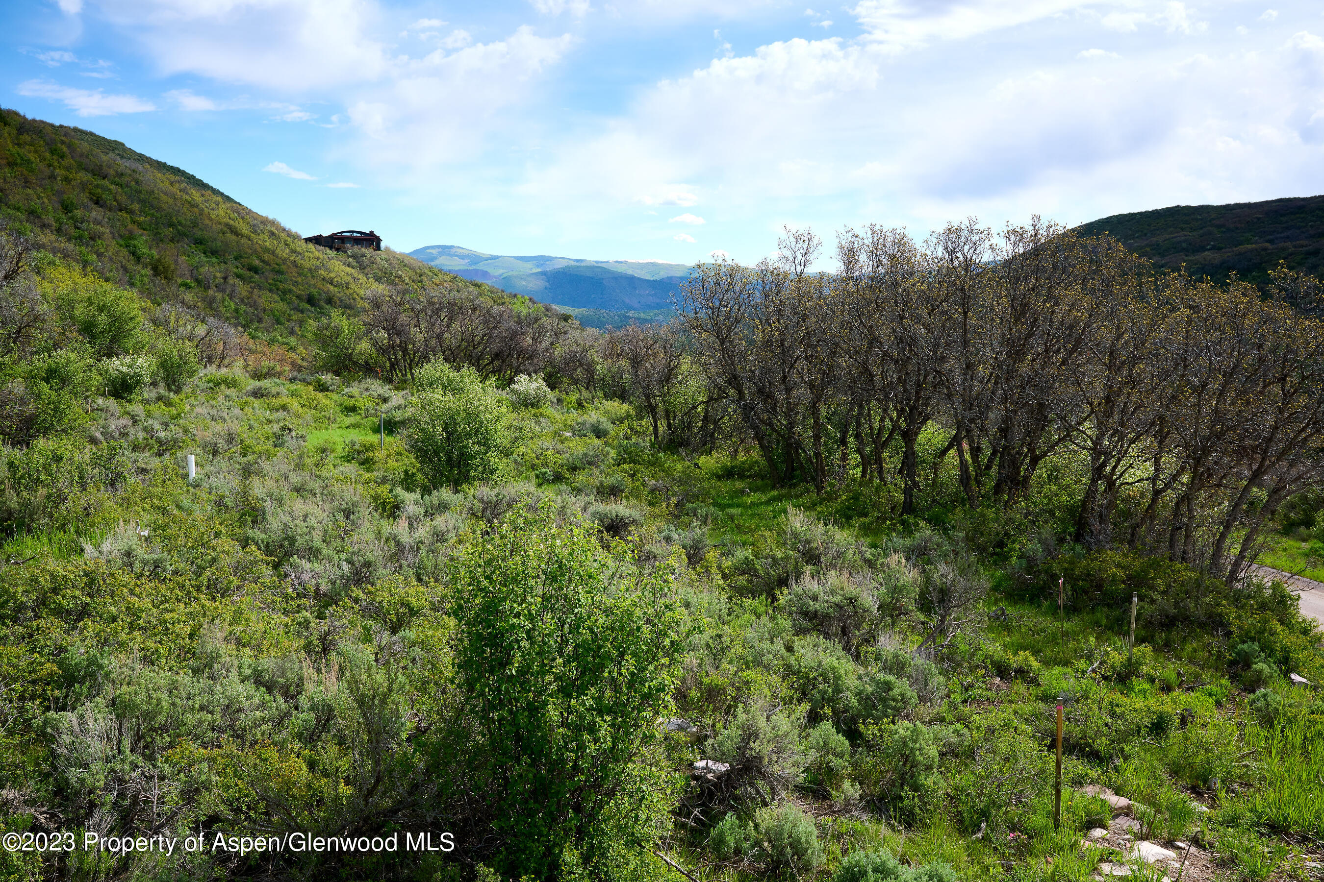 51 Shield O Road Snowmass CO 81654