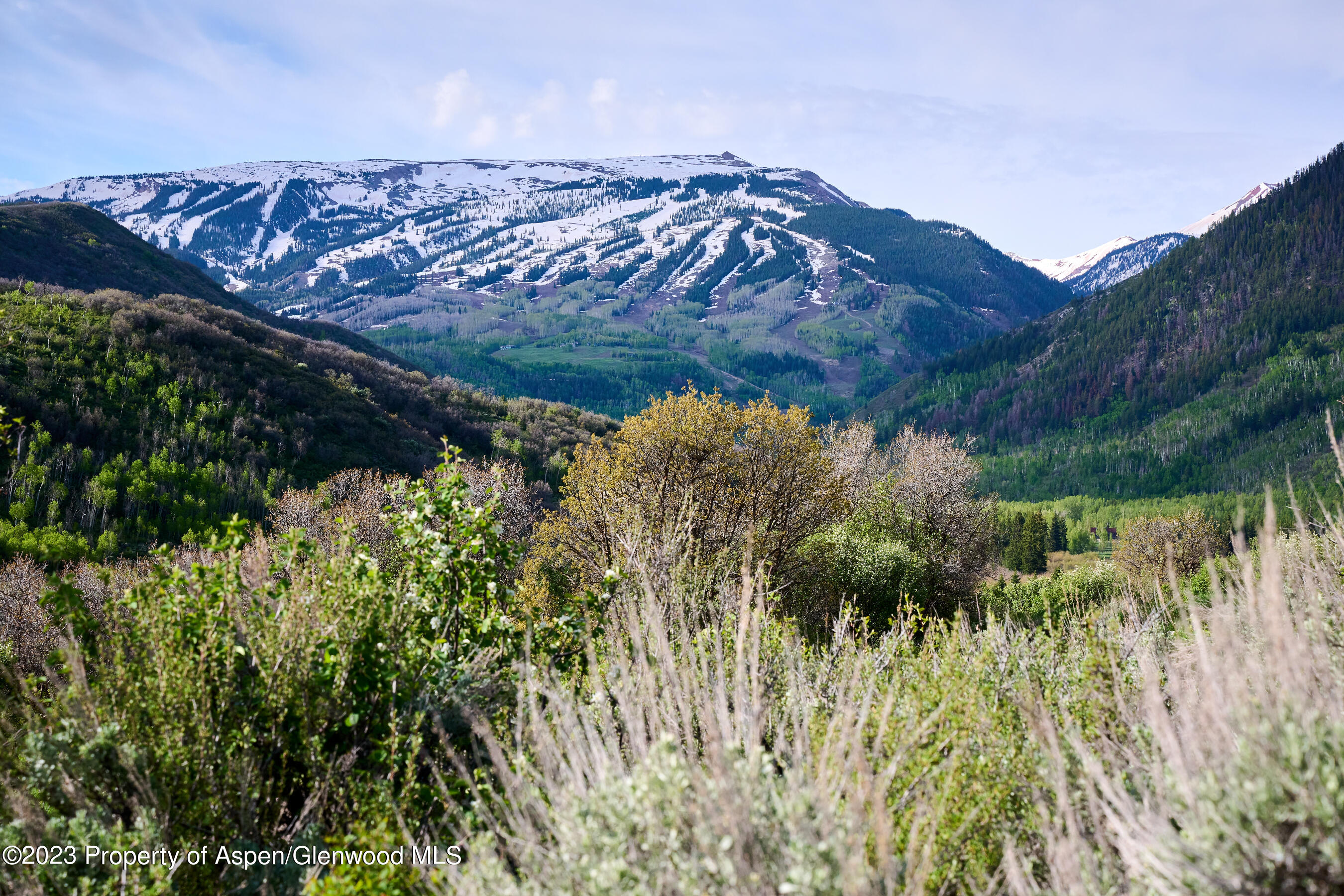 51 Shield O Road Snowmass CO 81654