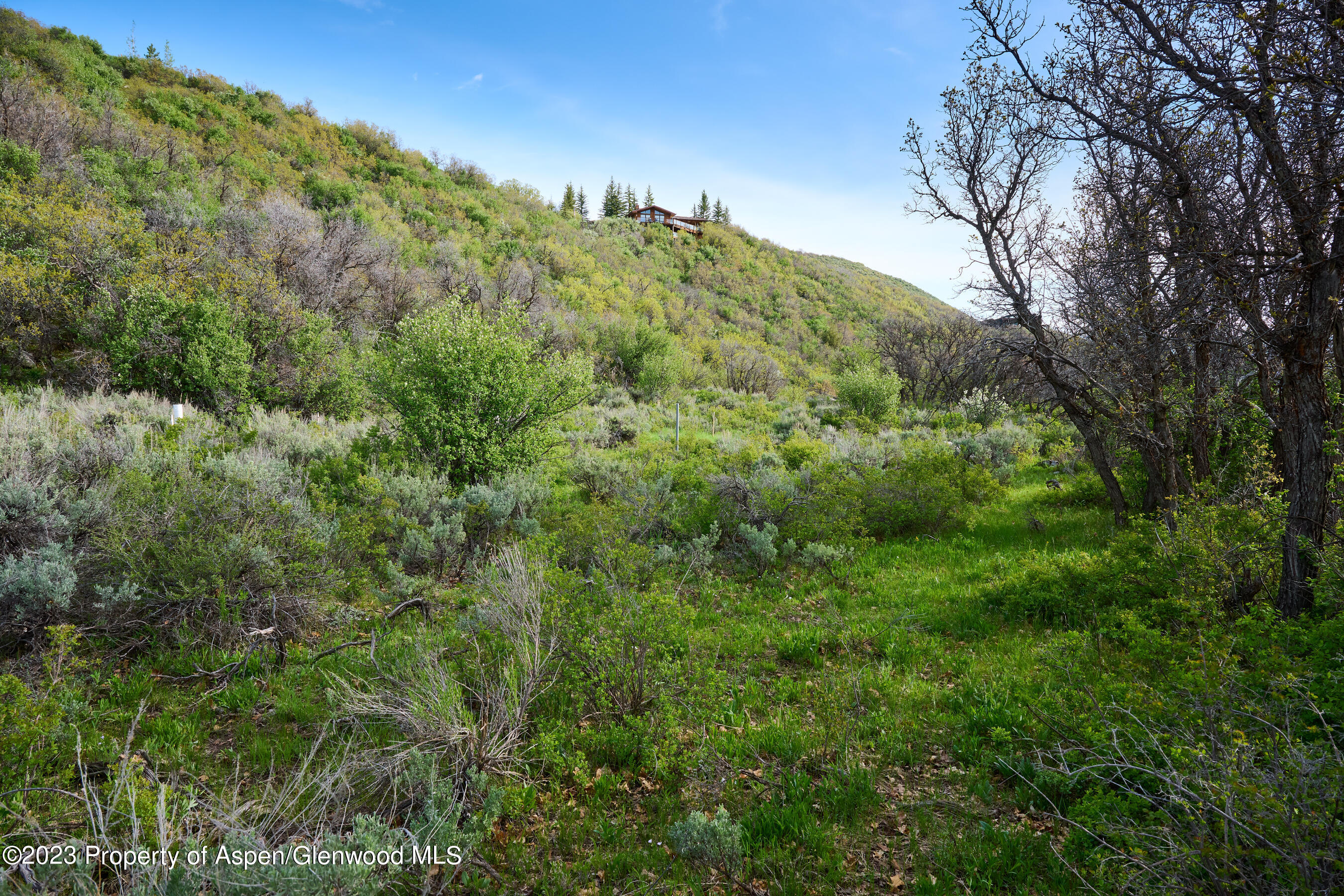 51 Shield O Road Snowmass CO 81654