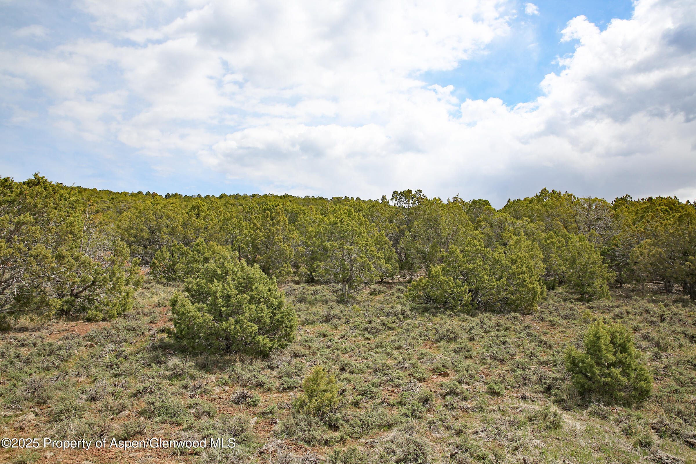 Tbd Kk Road Molina CO 81646