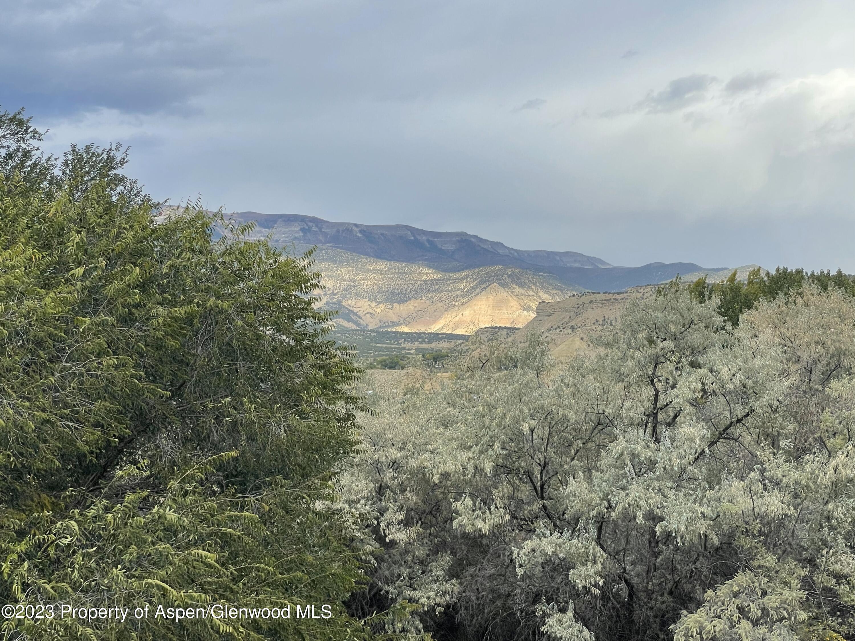 435 Arbor Lane Rifle CO 81650