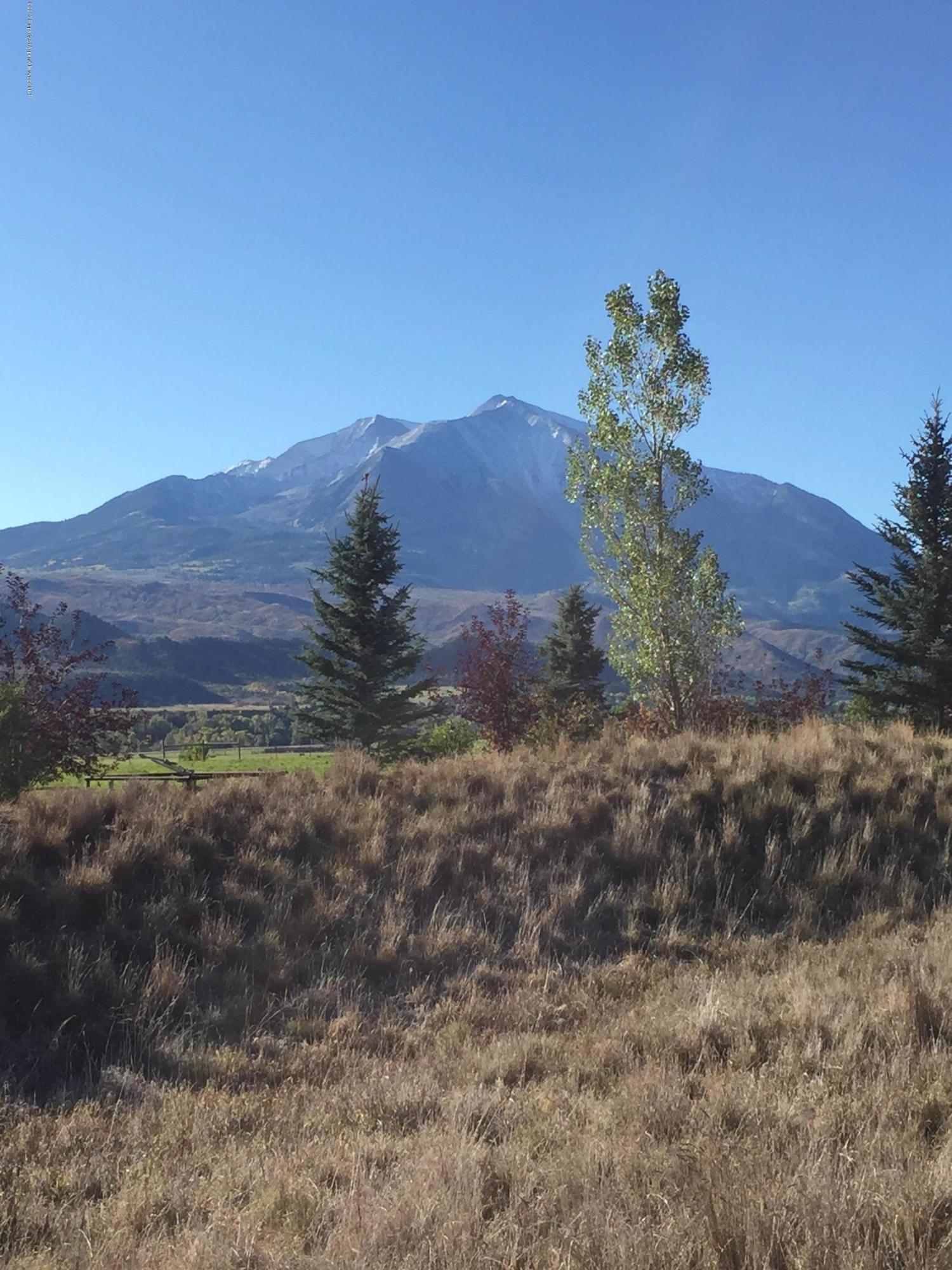 290 Crystal Canyon Drive Carbondale CO 81623
