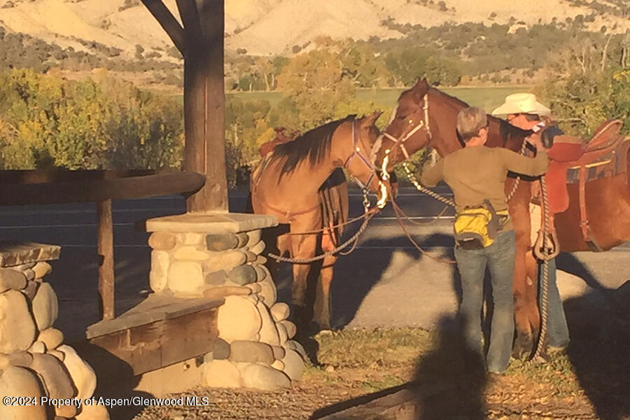 35 Hotchkiss Avenue Colona CO 81403