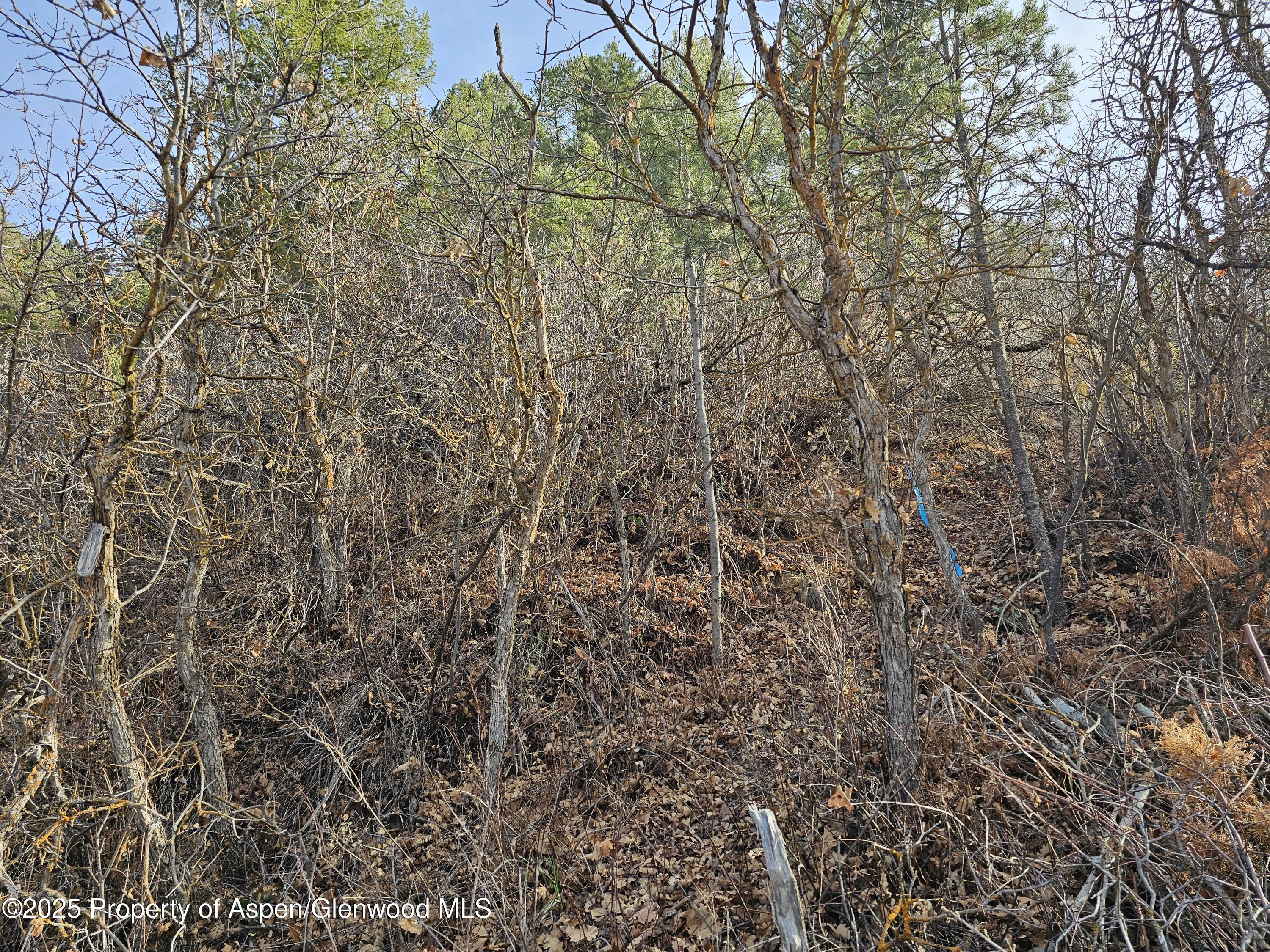 Tbd Various Glenwood Springs CO 81601