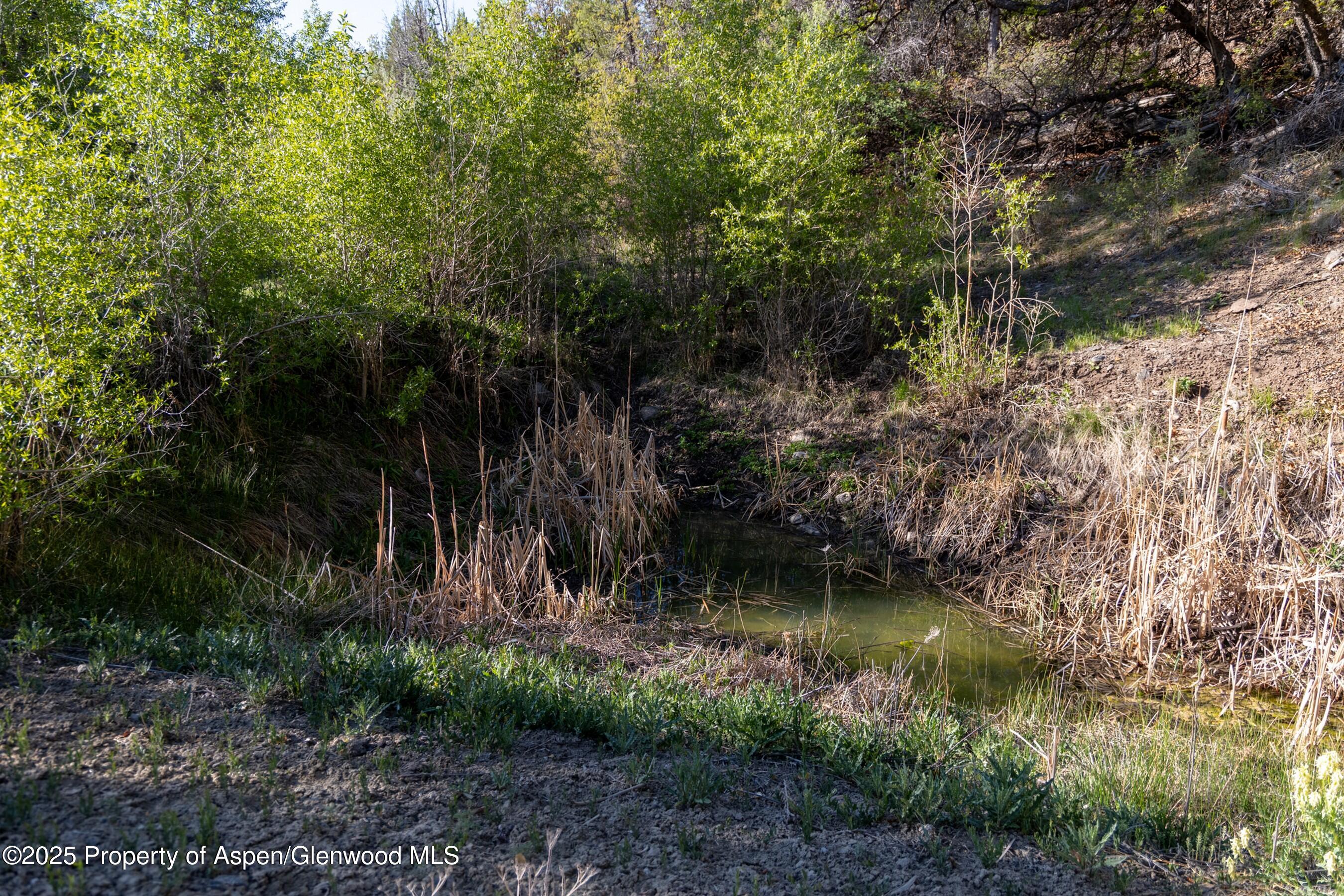 Tbd Mystic Mesa Road Hotchkiss CO 81419