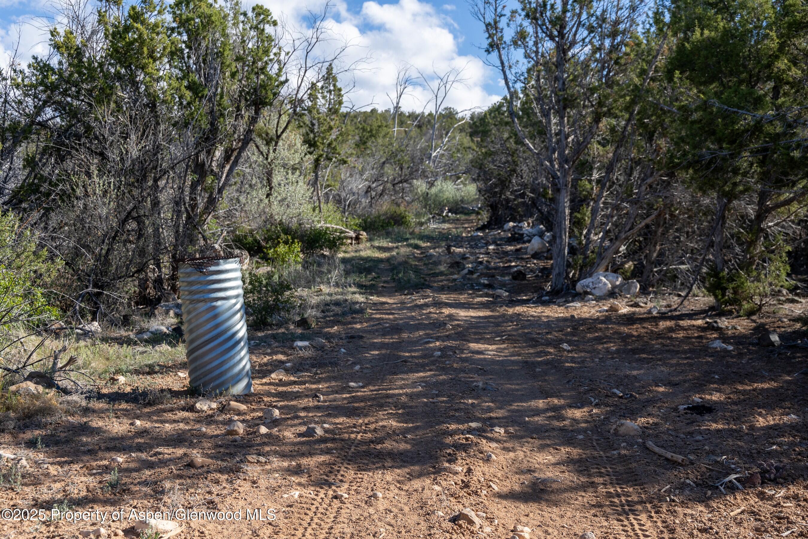 Tbd Mystic Mesa Road Hotchkiss CO 81419
