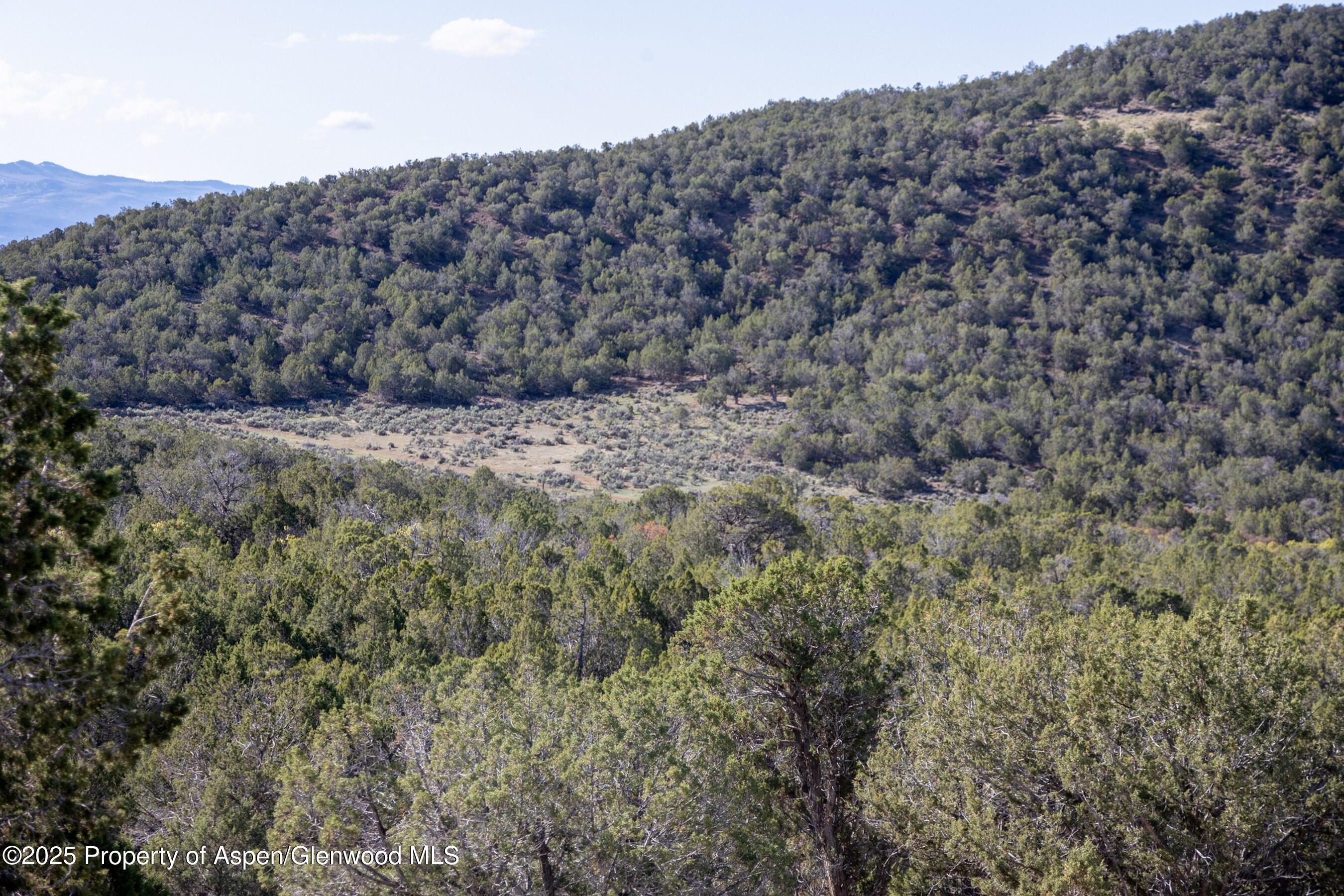 Tbd Mystic Mesa Road Hotchkiss CO 81419