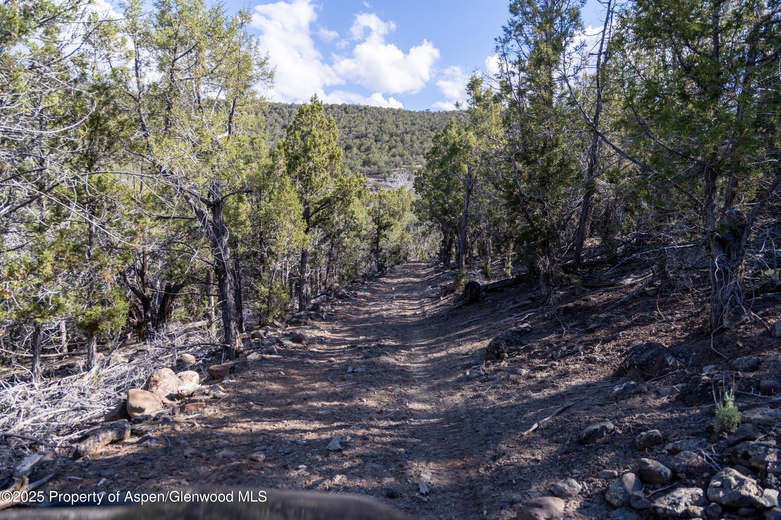 Tbd Mystic Mesa Road Hotchkiss CO 81419