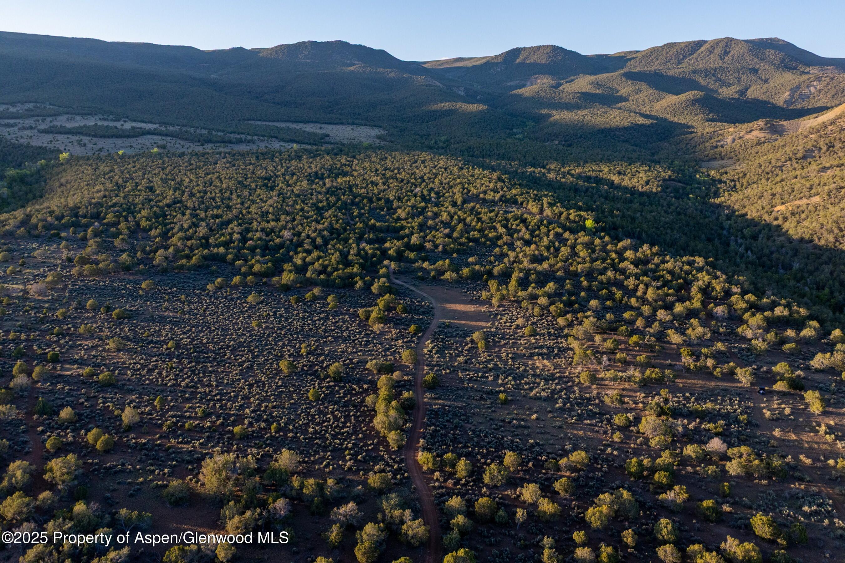 Tbd Mystic Mesa Road Hotchkiss CO 81419