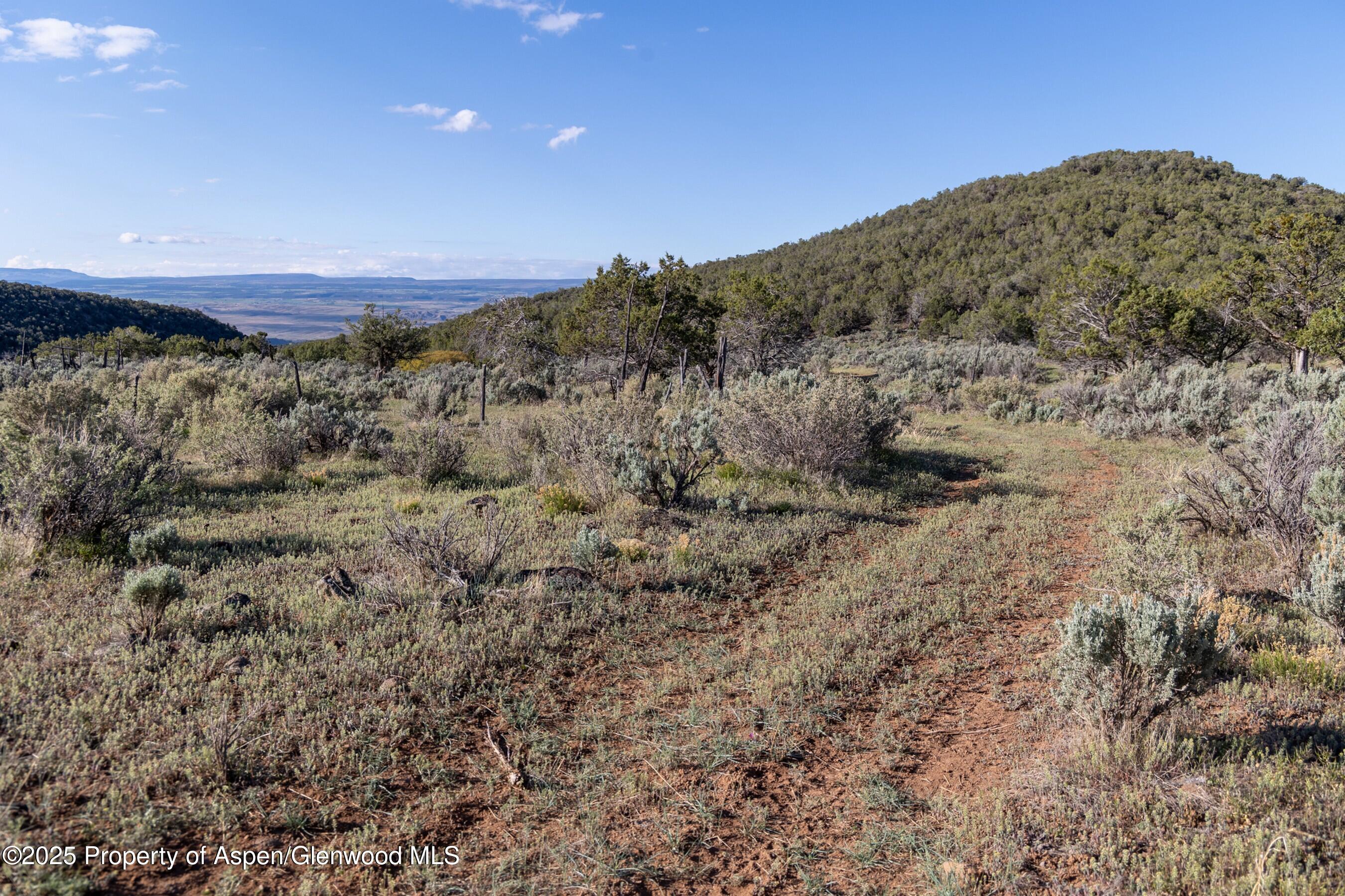 Tbd Mystic Mesa Road Hotchkiss CO 81419