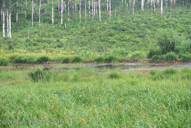 Tbd County Road 11 Craig CO 81625