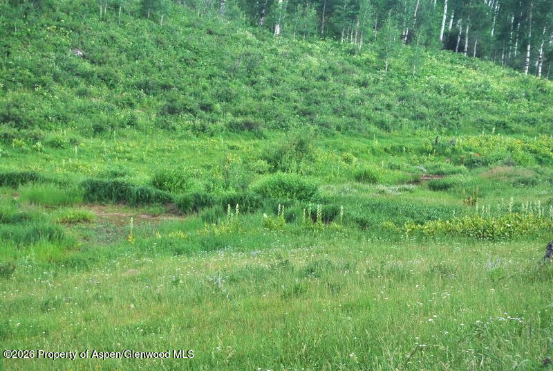 Tbd County Road 11 Craig CO 81625