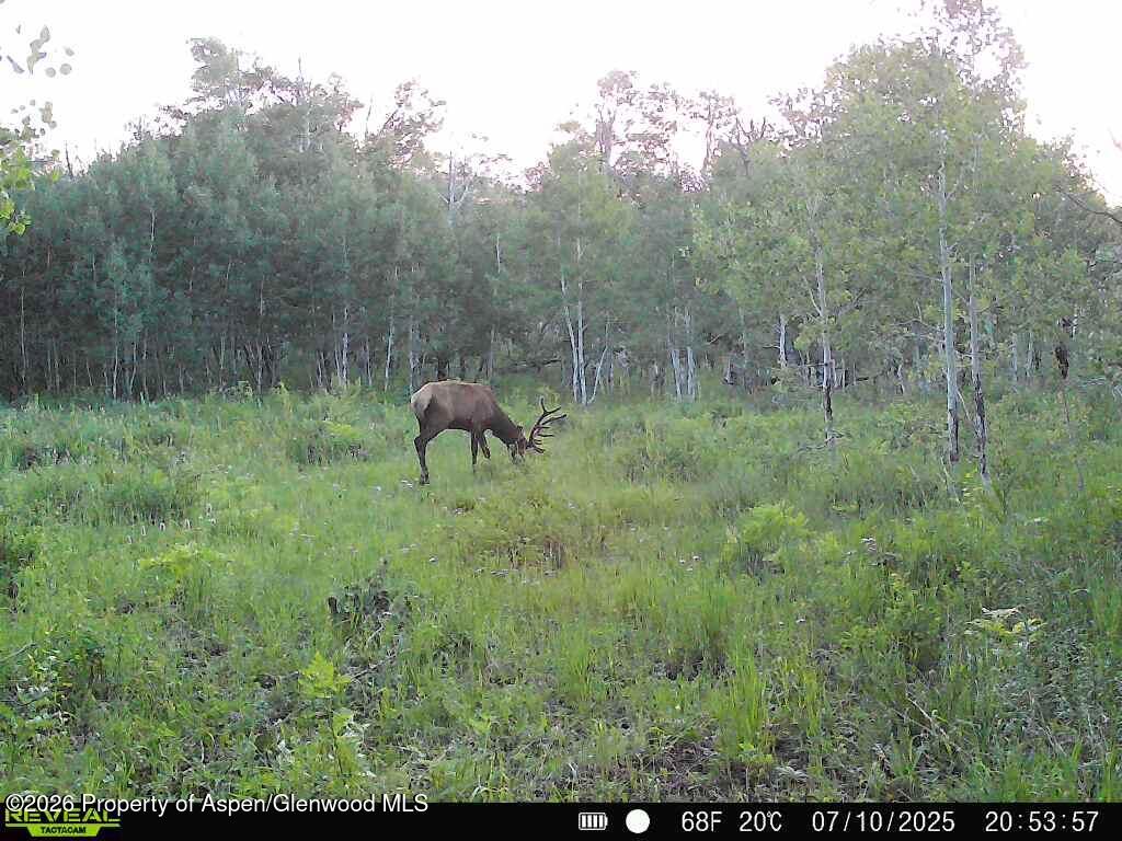 Tbd County Road 11 Craig CO 81625