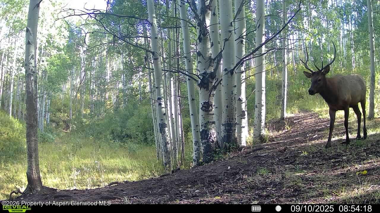 Tbd County Road 11 Craig CO 81625