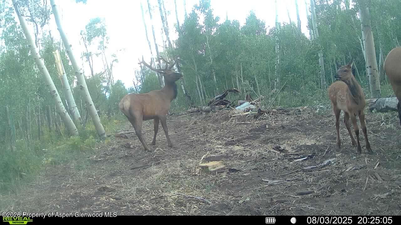 Tbd County Road 11 Craig CO 81625