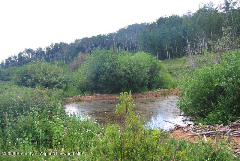 Tbd County Road 11 Craig CO 81625