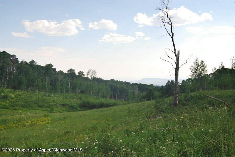 Tbd County Road 11 Craig CO 81625