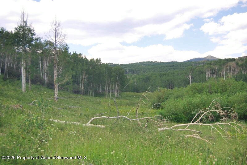 Tbd County Road 11 Craig CO 81625