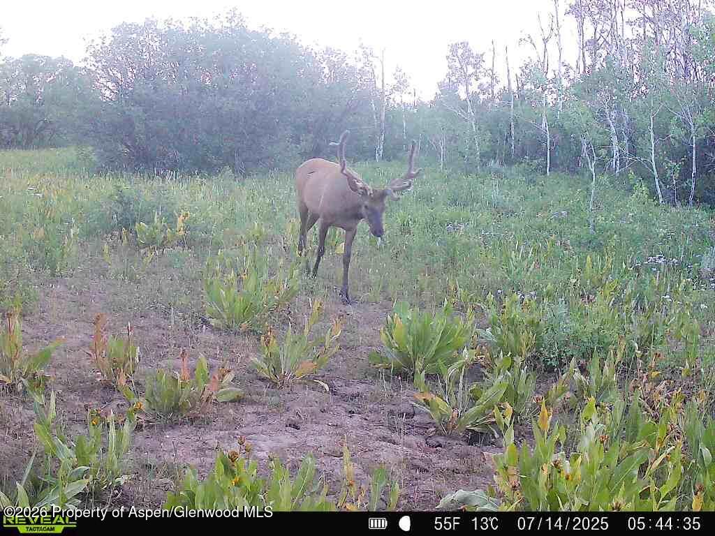 Tbd County Road 11 Craig CO 81625