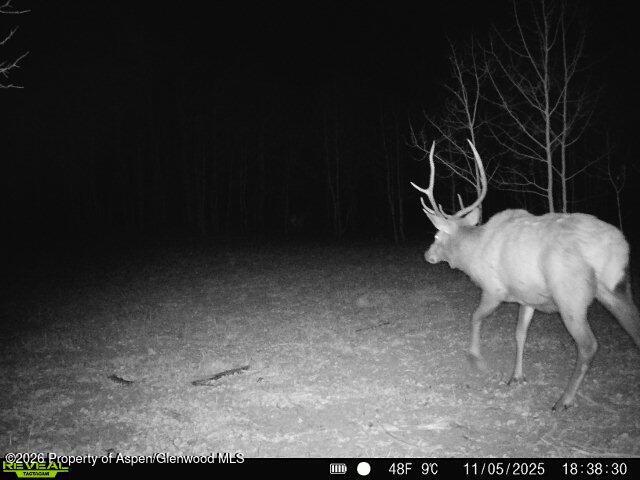 Tbd County Road 11 Craig CO 81625