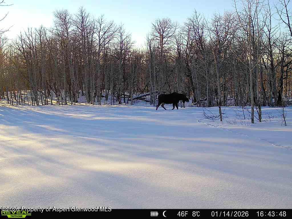 Tbd County Road 11 Craig CO 81625