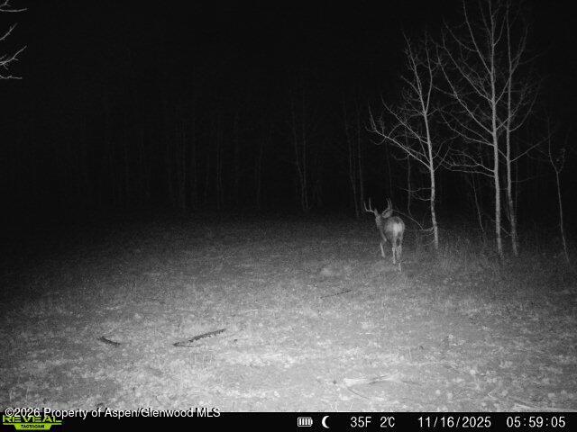 Tbd County Road 11 Craig CO 81625