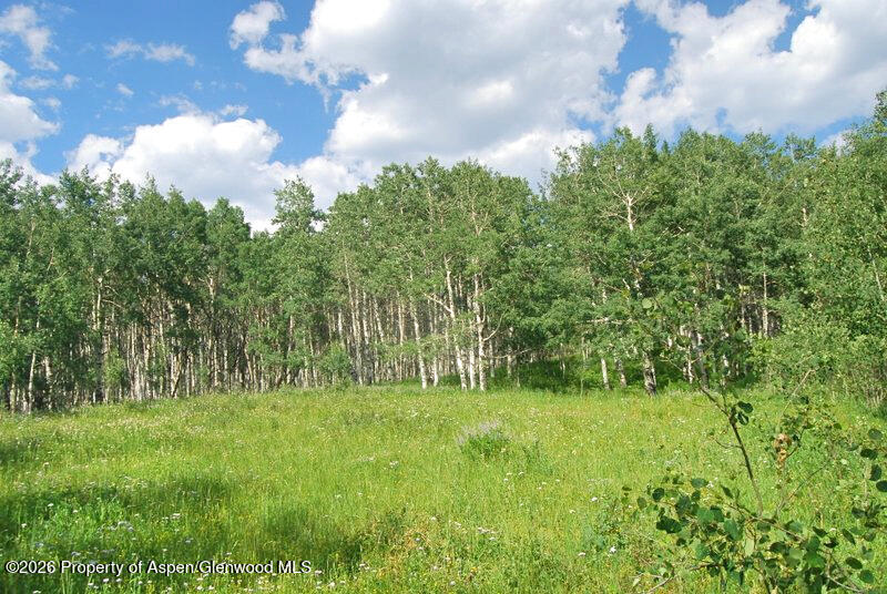 Tbd County Road 11 Craig CO 81625