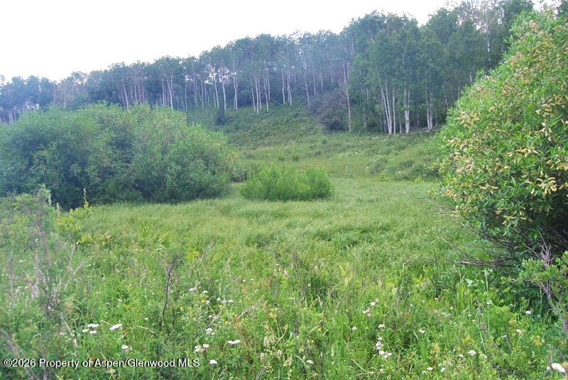 Tbd County Road 11 Craig CO 81625