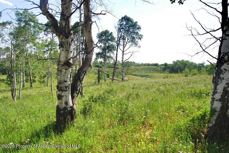 Tbd County Road 11 Craig CO 81625