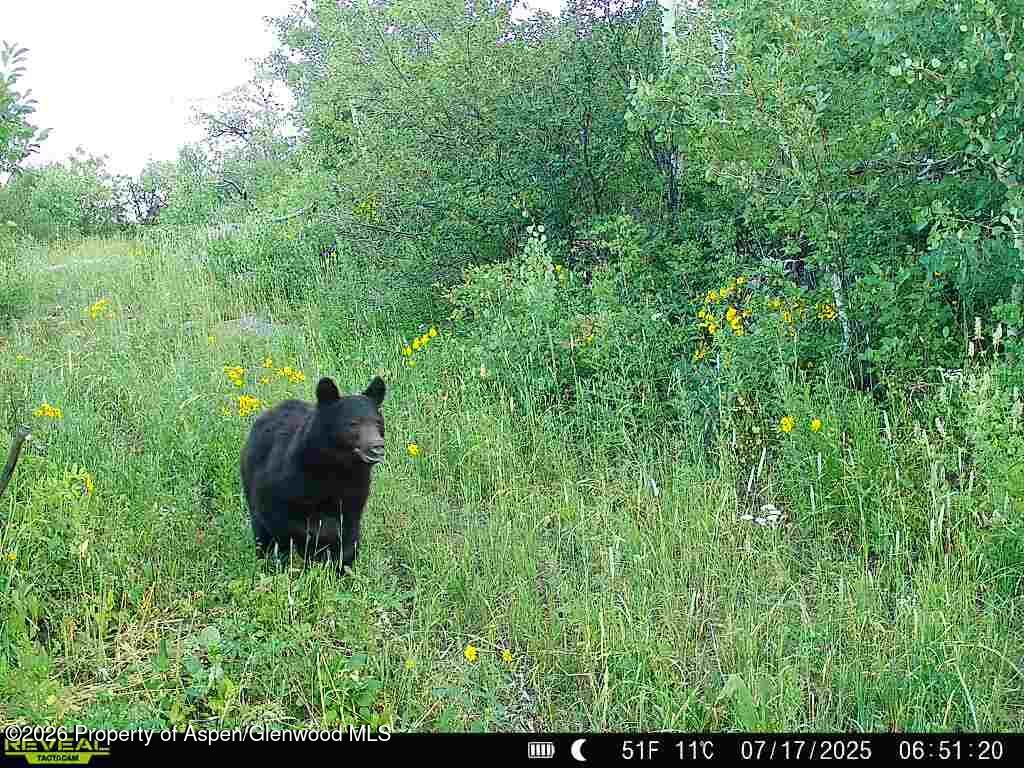 Tbd County Road 11 Craig CO 81625