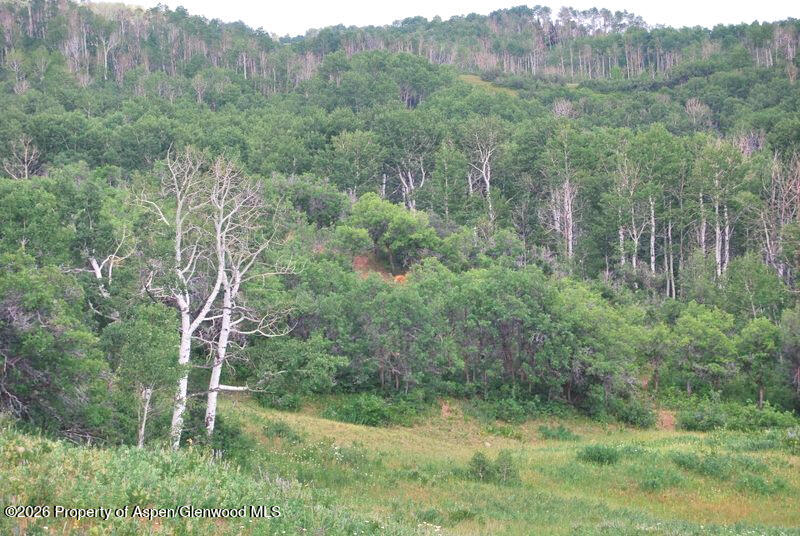 Tbd County Road 11 Craig CO 81625