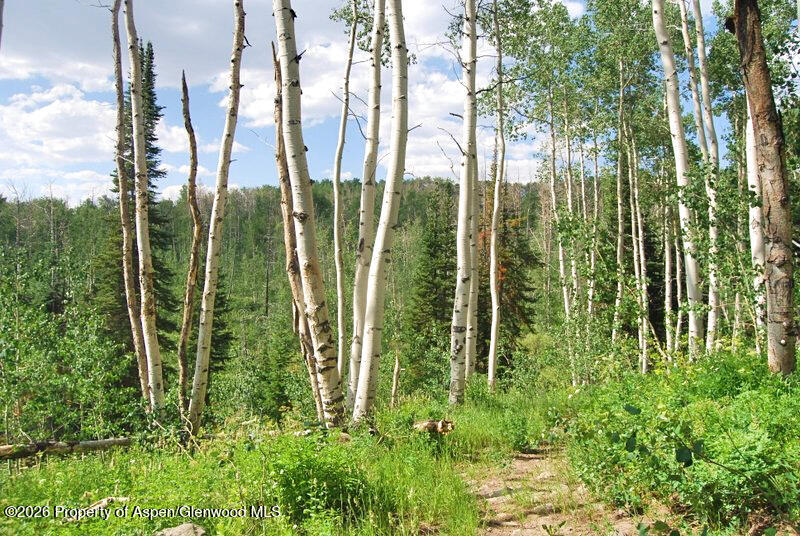 Tbd County Road 11 Craig CO 81625