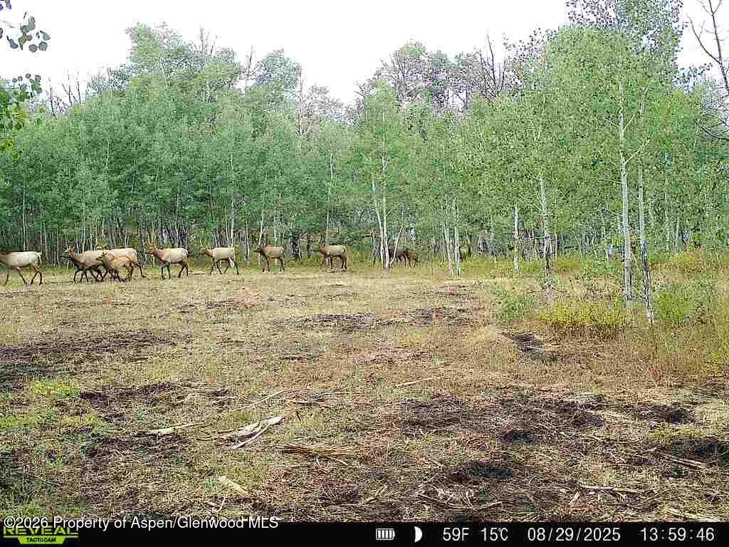 Tbd County Road 11 Craig CO 81625