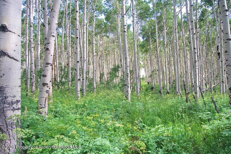 Tbd County Road 11 Craig CO 81625