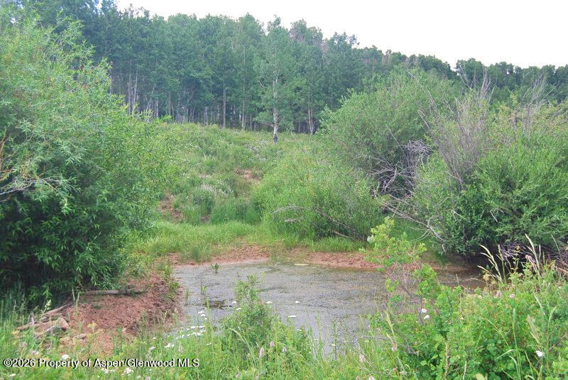 Tbd County Road 11 Craig CO 81625