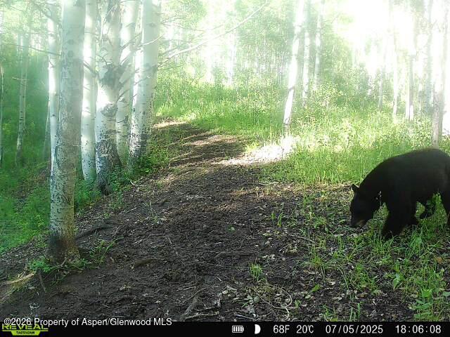 Tbd County Road 11 Craig CO 81625