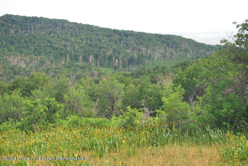 Tbd County Road 11 Craig CO 81625