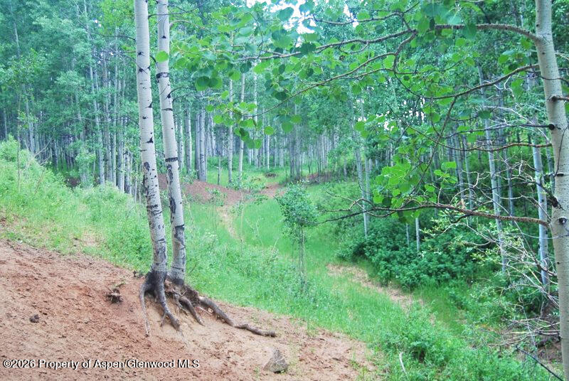 Tbd County Road 11 Craig CO 81625