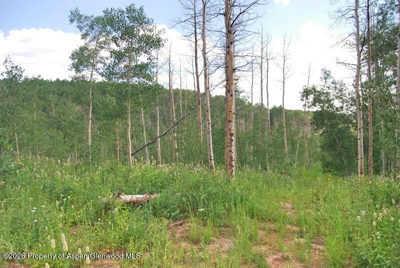 Tbd County Road 11 Craig CO 81625