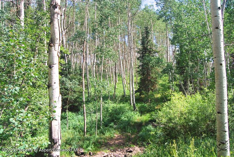 Tbd County Road 11 Craig CO 81625