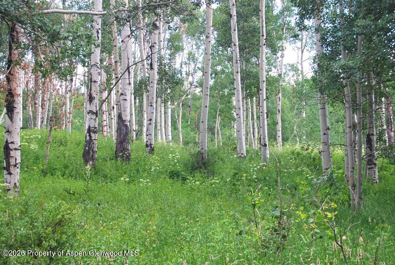 Tbd County Road 11 Craig CO 81625