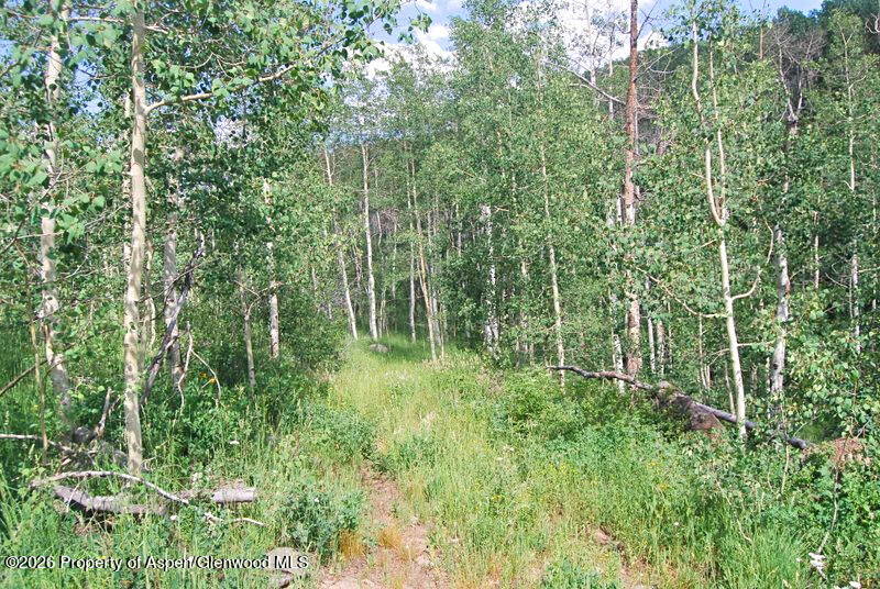 Tbd County Road 11 Craig CO 81625