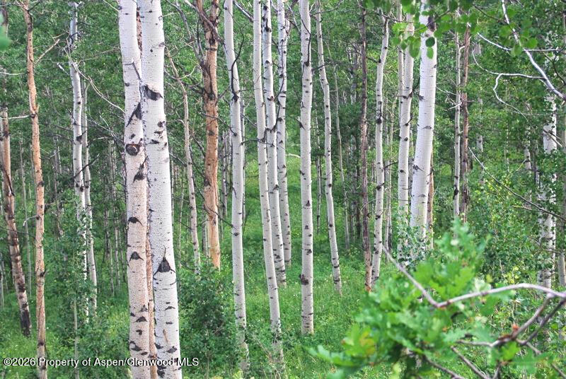 Tbd County Road 11 Craig CO 81625