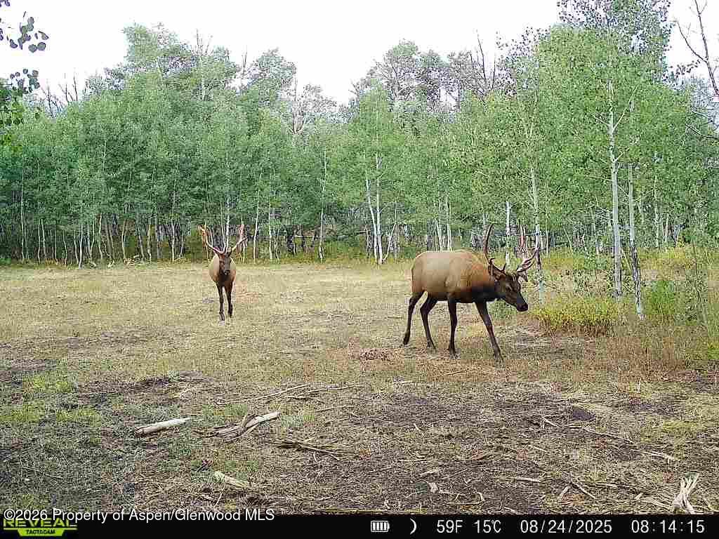 Tbd County Road 11 Craig CO 81625