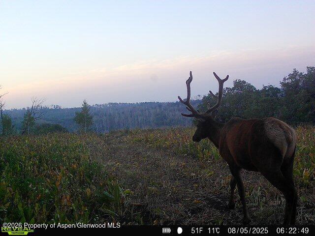Tbd County Road 11 Craig CO 81625