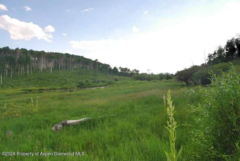 Tbd County Road 11 Craig CO 81625