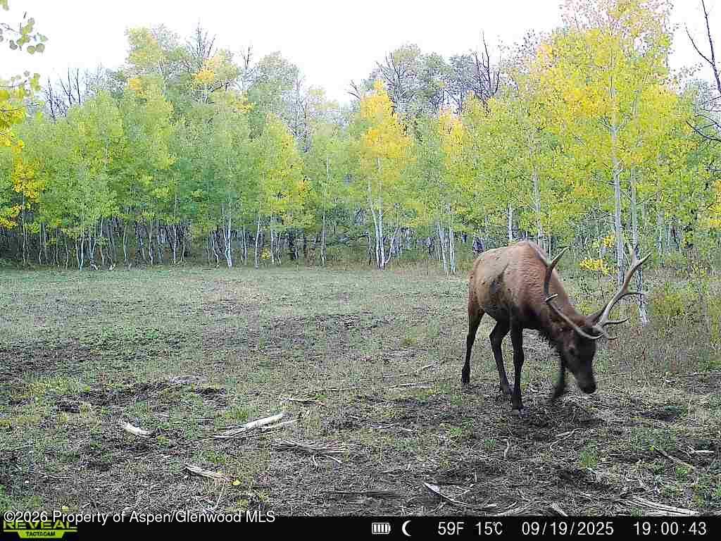 Tbd County Road 11 Craig CO 81625