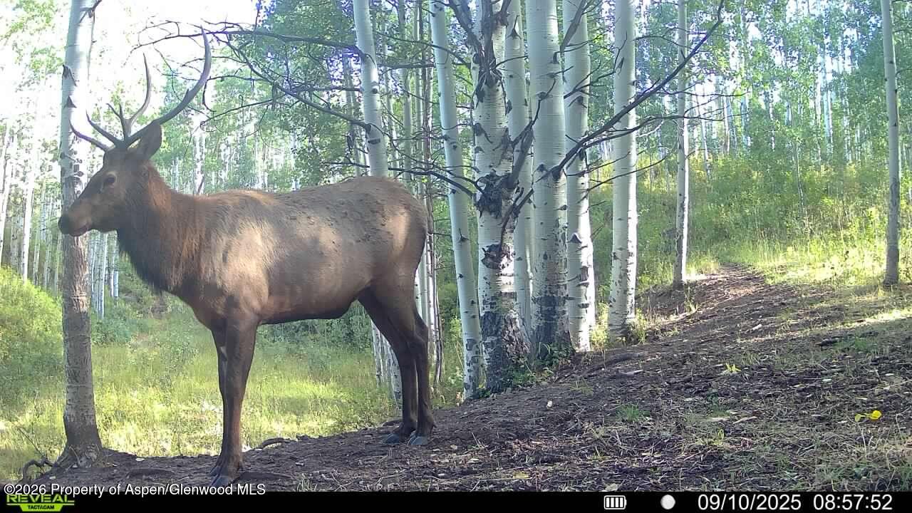 Tbd County Road 11 Craig CO 81625